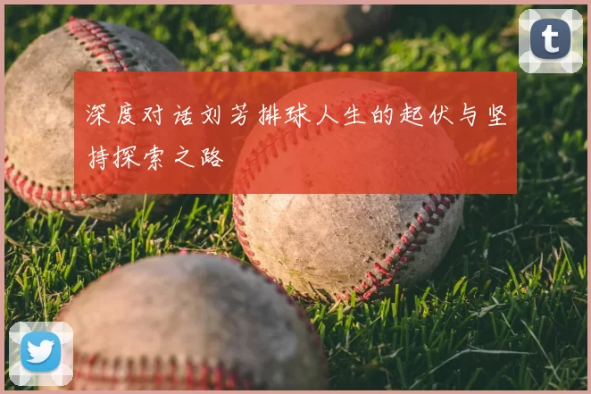 深度对话刘芳排球人生的起伏与坚持探索之路