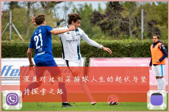 深度对话刘芳排球人生的起伏与坚持探索之路