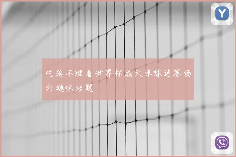 吃狗不理看世界杯成天津球迷赛场外趣味话题