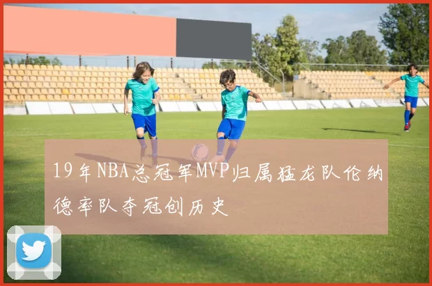 19年NBA总冠军MVP归属猛龙队伦纳德率队夺冠创历史