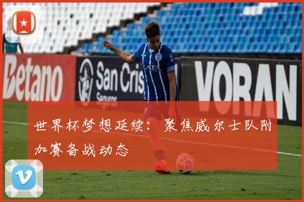 世界杯梦想延续：聚焦威尔士队附加赛备战动态
