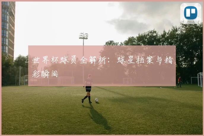 世界杯球员全解析:球星档案与精彩瞬间