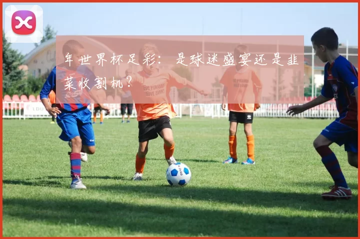 年世界杯足彩:是球迷盛宴还是韭菜收割机?