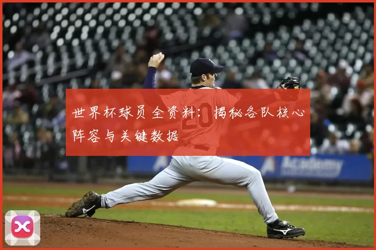 世界杯球员全资料:揭秘各队核心阵容与关键数据