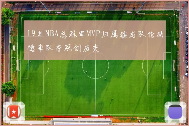 19年NBA总冠军MVP归属猛龙队伦纳德率队夺冠创历史