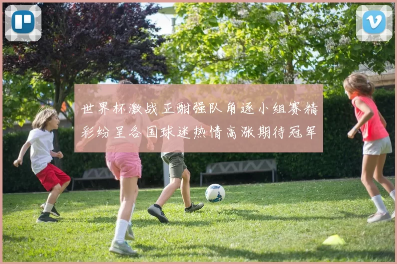 世界杯激战正酣强队角逐小组赛精彩纷呈各国球迷热情高涨期待冠军诞生