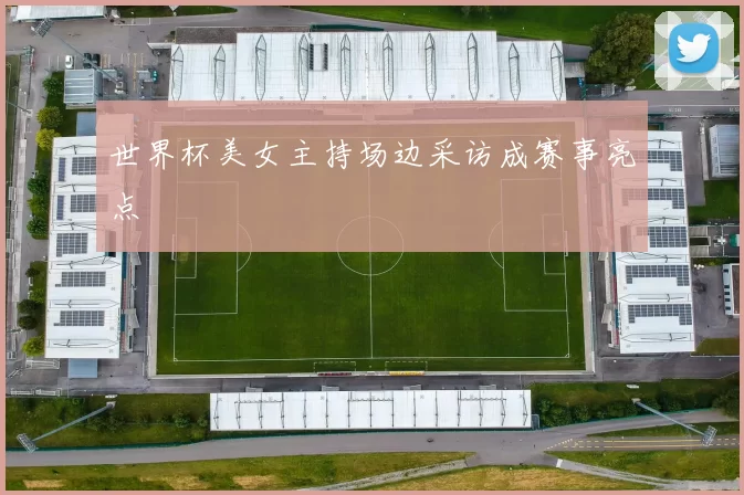 世界杯美女主持场边采访成赛事亮点