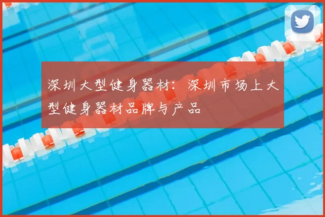 深圳大型健身器材：深圳市场上大型健身器材品牌与产品