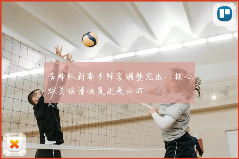黄蜂队新赛季阵容调整完成,核心球员伤情恢复进展公布