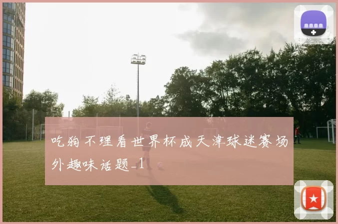 吃狗不理看世界杯成天津球迷赛场外趣味话题_1