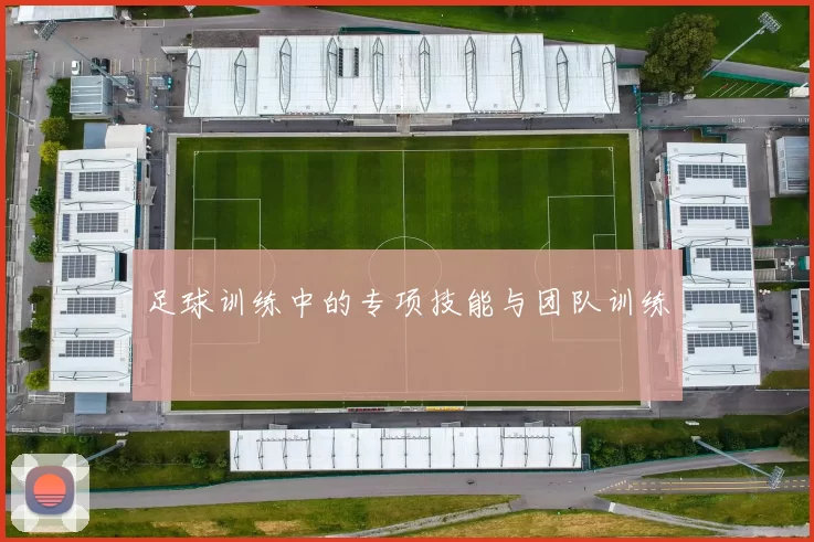 足球训练中的专项技能与团队训练