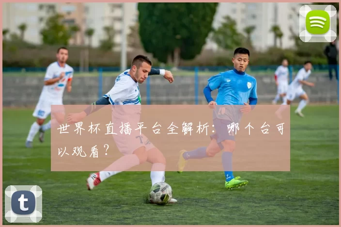 世界杯直播平台全解析:哪个台可以观看?