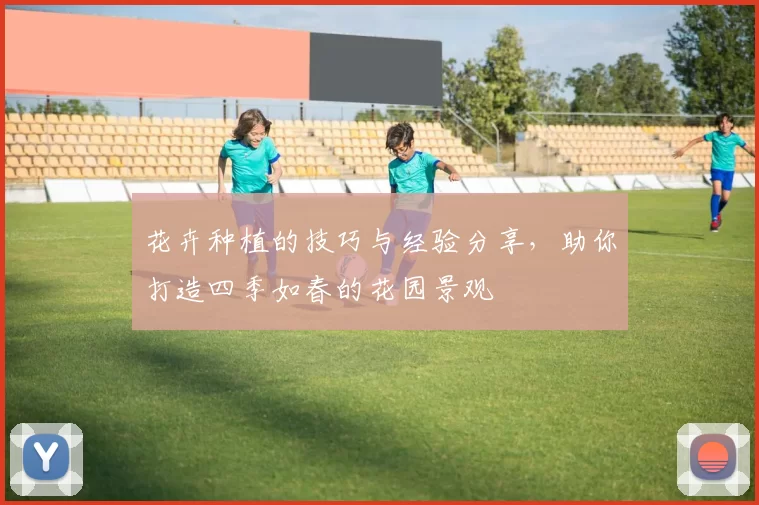 花卉种植的技巧与经验分享,助你打造四季如春的花园景观