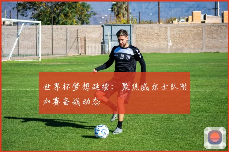 世界杯梦想延续：聚焦威尔士队附加赛备战动态