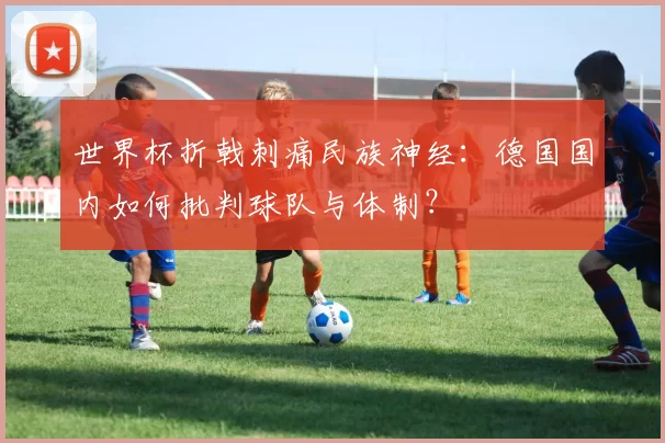 世界杯折戟刺痛民族神经:德国国内如何批判球队与体制?