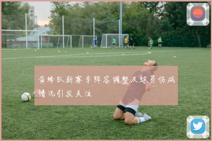 黄蜂队新赛季阵容调整及球员伤病情况引发关注